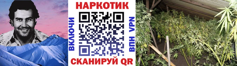 Гашиш Вельск