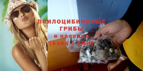 ГАЛЛЮЦИНОГЕННЫЕ ГРИБЫ Белоозёрский