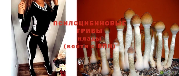 метамфетамин Белокуриха