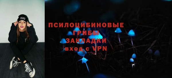 2c-b Беломорск
