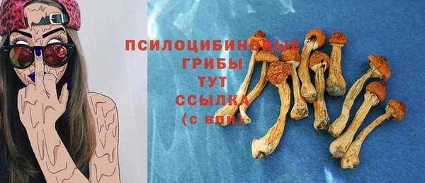 метамфетамин Белокуриха