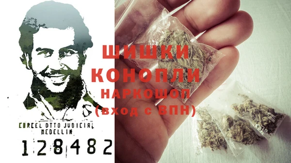 ГАЛЛЮЦИНОГЕННЫЕ ГРИБЫ Белоозёрский