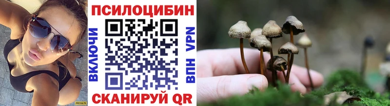 Псилоцибиновые грибы MAGIC MUSHROOMS Вельск